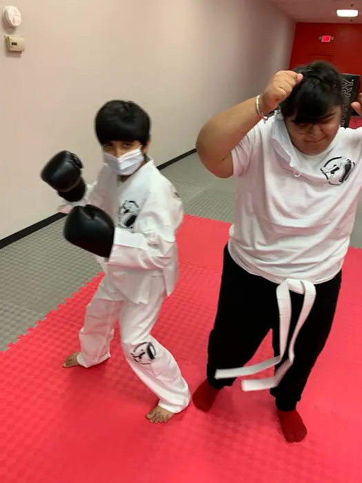 Kickboxing Plus Taekwondo Academy Picture 3