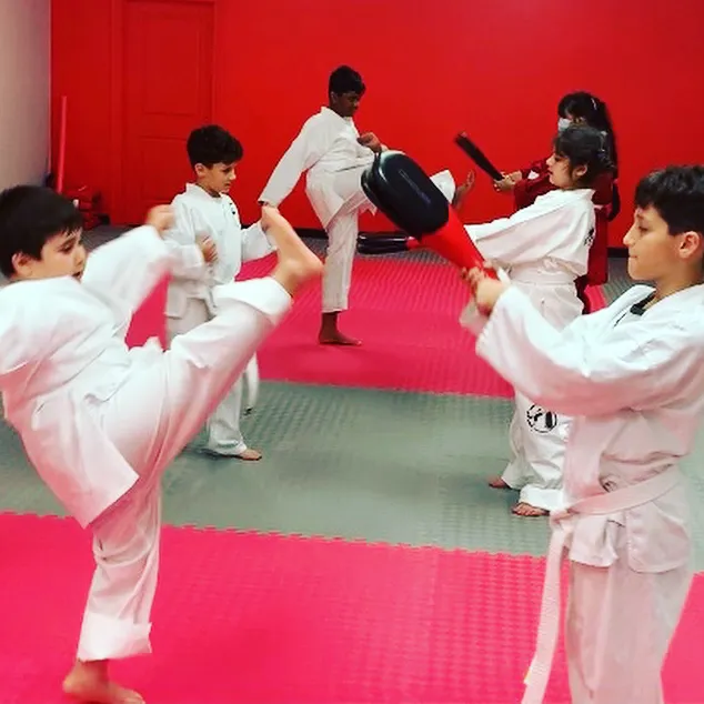 Kickboxing Plus Taekwondo Academy Picture 7