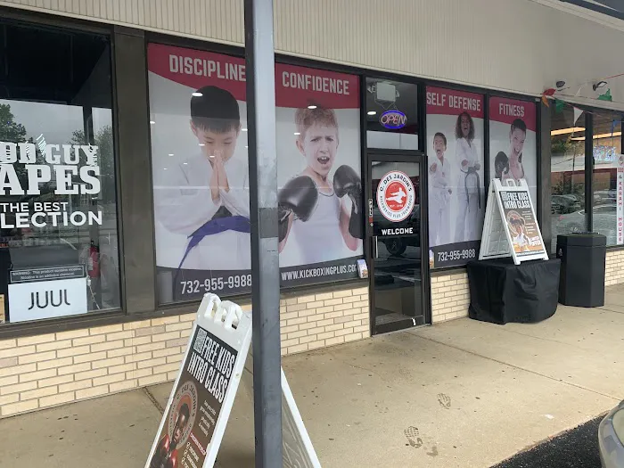 Kickboxing Plus Taekwondo Academy Picture 6