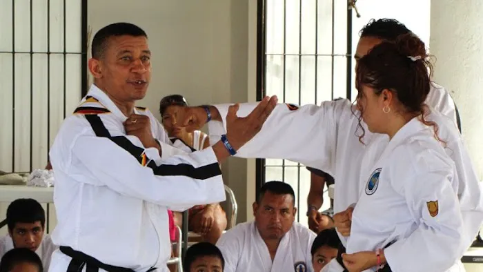 IITO Tae-Kwon-Do school and personal training Picture 2