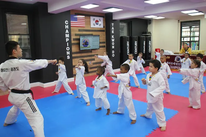 Champions Martial Arts Picture 5