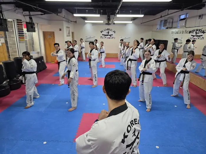 Korea Taekwondo - KTKD Flushing Picture 2