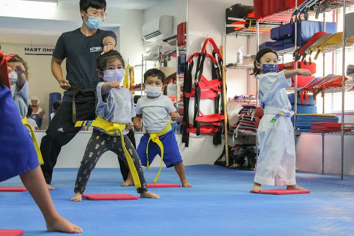NYBBC Taekwondo Martial Arts School Picture 1