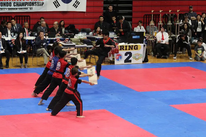 NYBBC Taekwondo Martial Arts School Picture 5