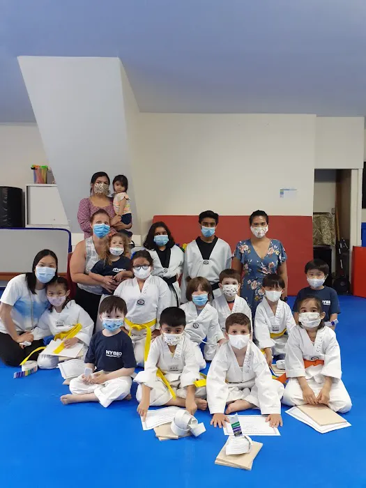 NYBBC Taekwondo Martial Arts School Picture 2