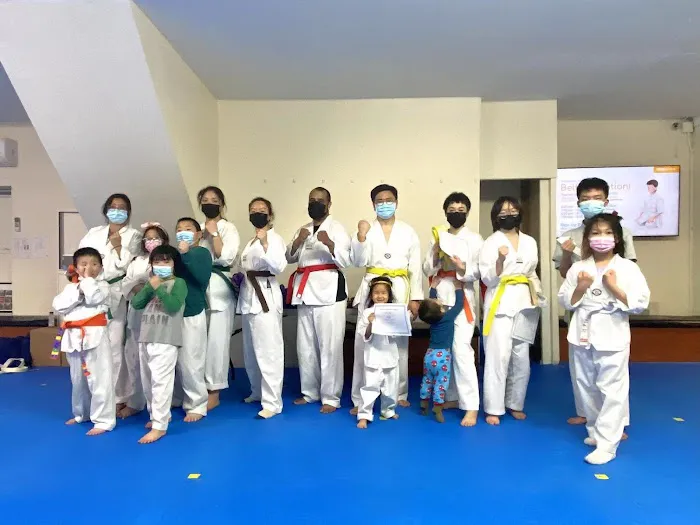 NYBBC Taekwondo Martial Arts School Picture 4
