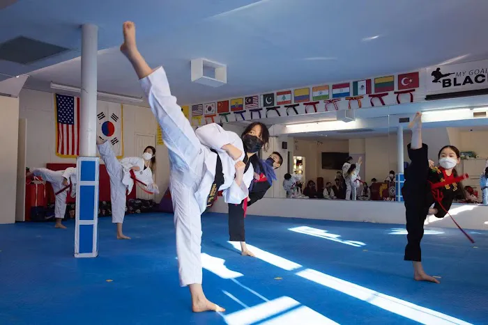 NYBBC Taekwondo Martial Arts School Picture 3