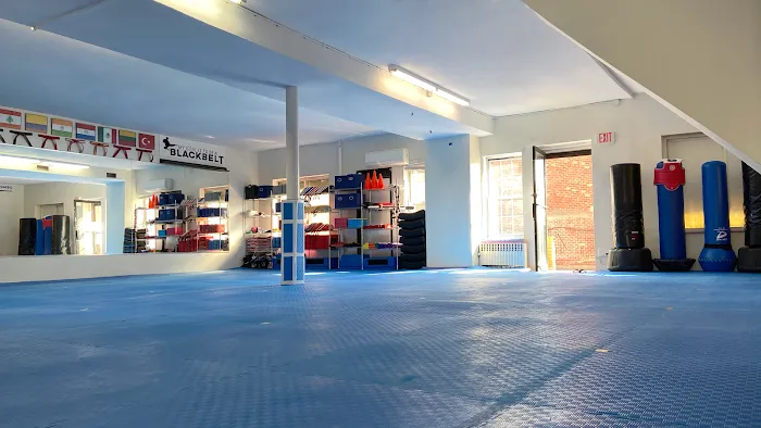 NYBBC Taekwondo Martial Arts School Picture 10