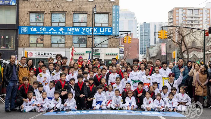 NYBBC Taekwondo Martial Arts School 192st Picture 4
