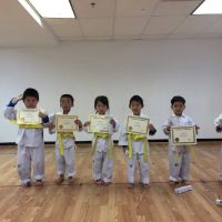 Prime Taekwondo ico
