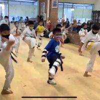 An's TaeKwonDo ico