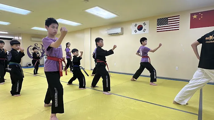New York Phoenix Taekwondo Center Picture 3