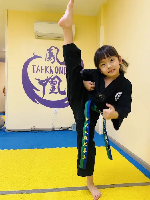 New York Phoenix Taekwondo Center Picture 4