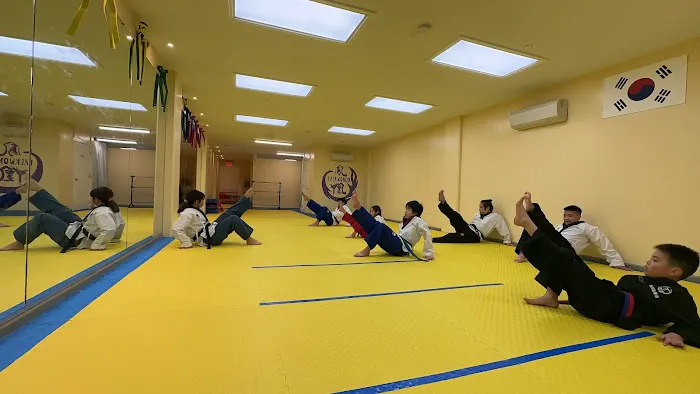 New York Phoenix Taekwondo Center Picture 1