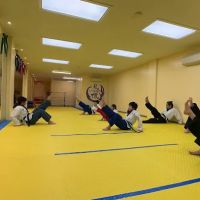 New York Phoenix Taekwondo Center ico