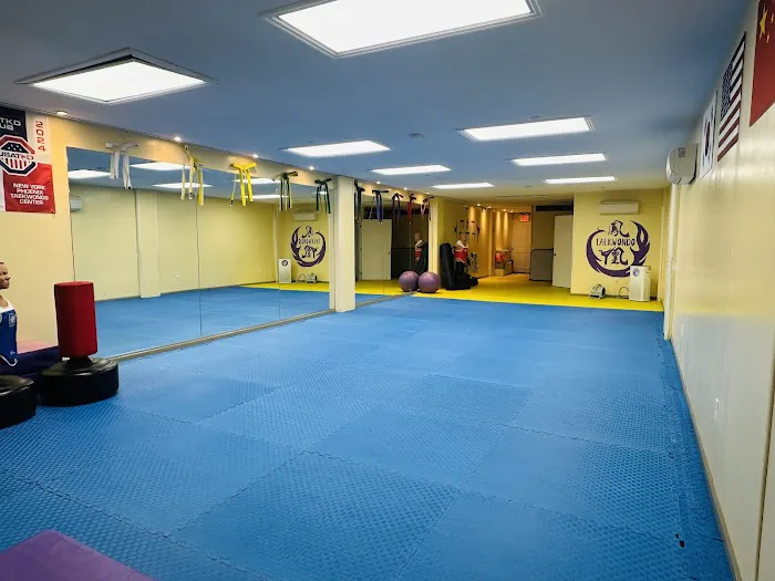 New York Phoenix Taekwondo Center Picture 6