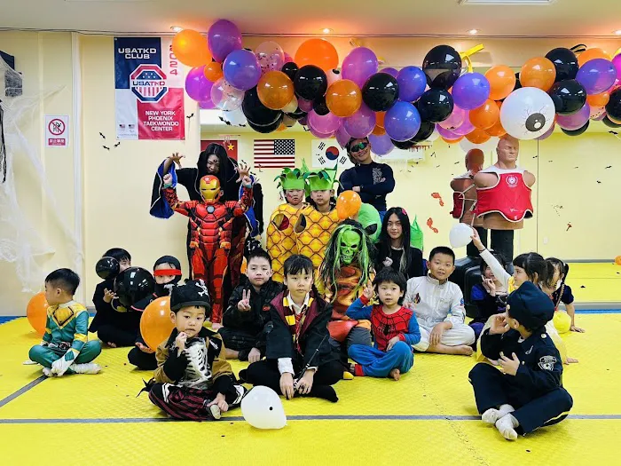 New York Phoenix Taekwondo Center Picture 5