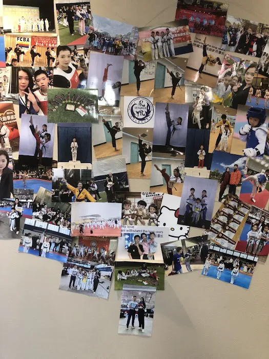 New York Phoenix Taekwondo Center Picture 8