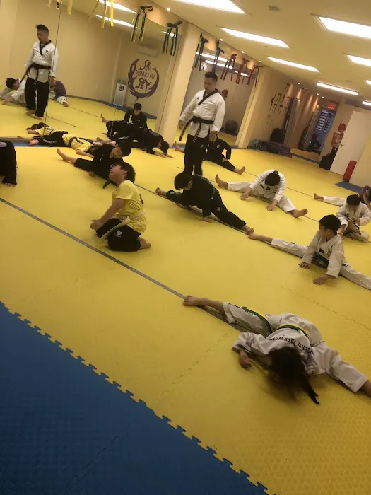 New York Phoenix Taekwondo Center Picture 10