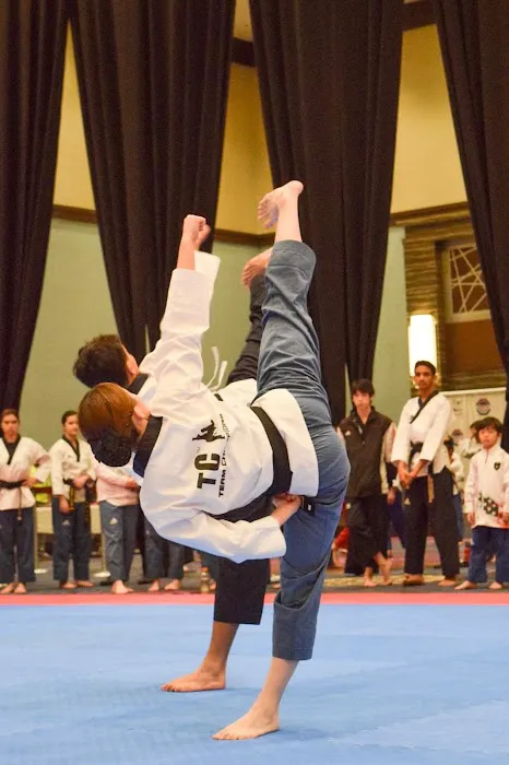 Champions Martial Arts Picture 5
