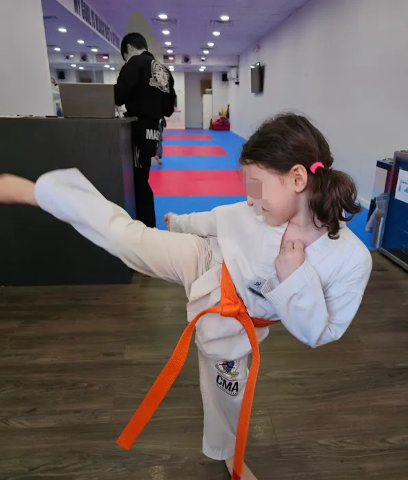 Champions Martial Arts Hudson Heights Picture 1