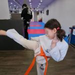 Champions Martial Arts Hudson Heights