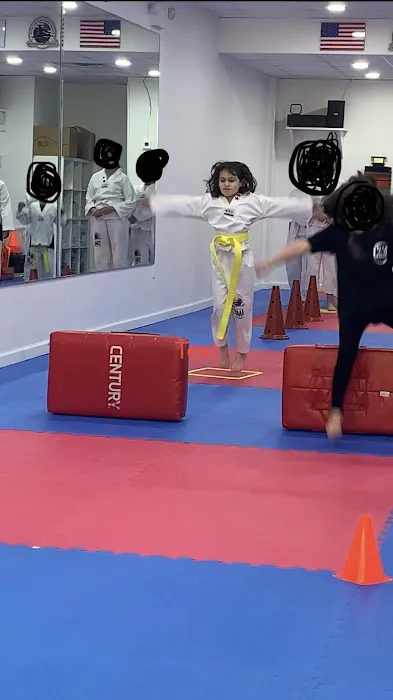 Champions Martial Arts Hudson Heights Picture 4