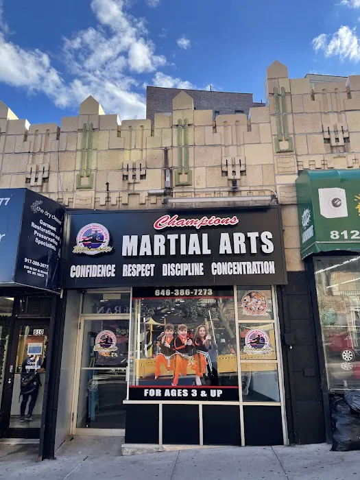 Champions Martial Arts Hudson Heights Picture 10