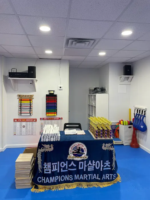 Champions Martial Arts Hudson Heights Picture 8