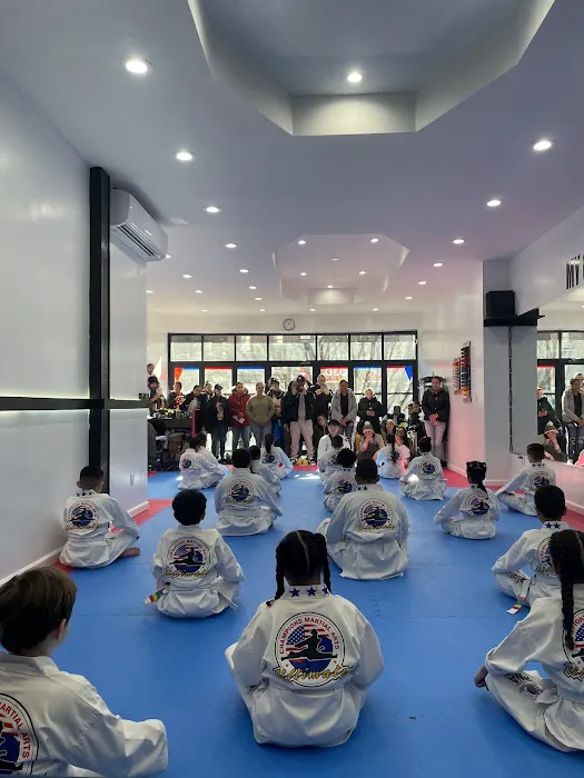 Champions Martial Arts Dyckman Picture 6