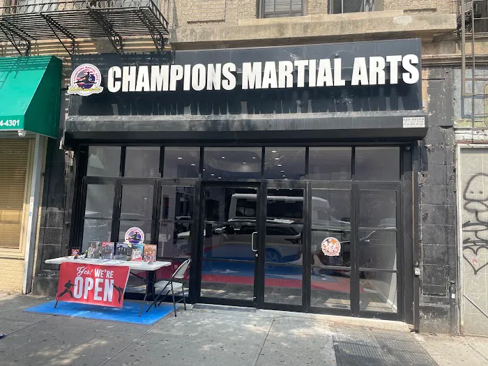 Champions Martial Arts Dyckman Picture 10
