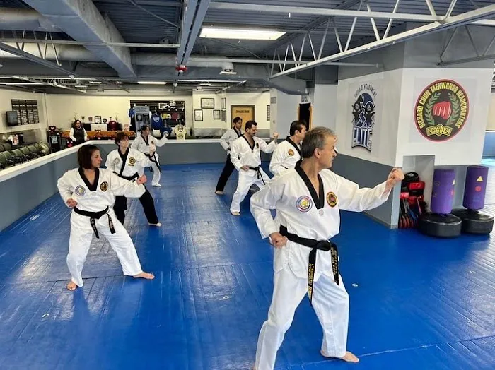 Global Legendary Taekwondo Headquarters Picture 5