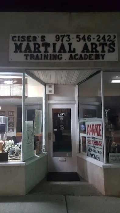 Academy of Koei-Kan Karate-Do Clifton Honbu Dojo Picture 1