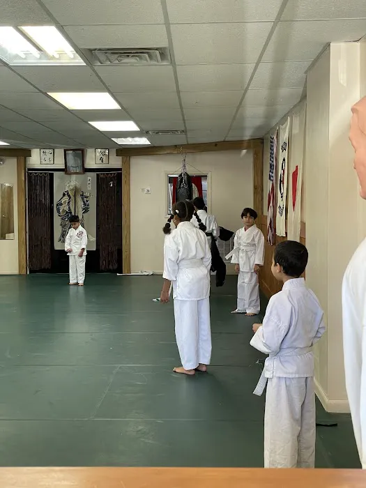 Academy of Koei-Kan Karate-Do Clifton Honbu Dojo Picture 3