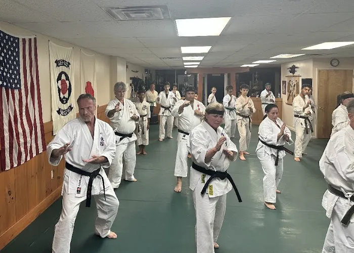 Academy of Koei-Kan Karate-Do Clifton Honbu Dojo Picture 5