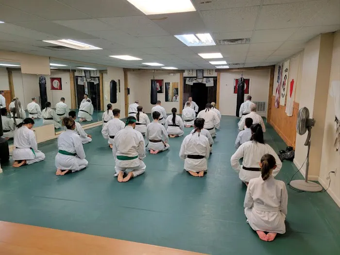 Academy of Koei-Kan Karate-Do Clifton Honbu Dojo Picture 10