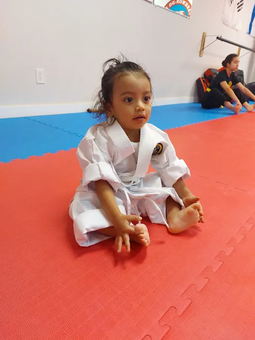 Taekwon-Do Mixed Martial Arts Fitness Academy Picture 1
