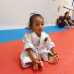 Taekwon-Do Mixed Martial Arts Fitness Academy