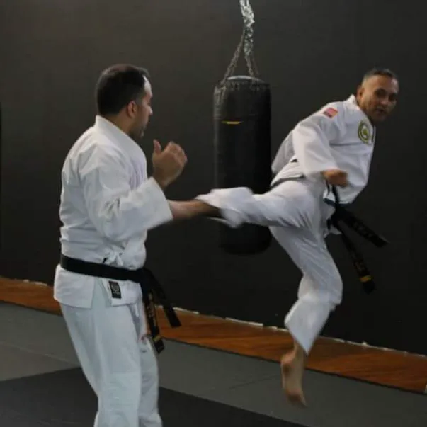 Taekwon-Do Mixed Martial Arts Fitness Academy Picture 10