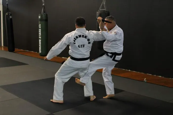 Taekwon-Do Mixed Martial Arts Fitness Academy Picture 8