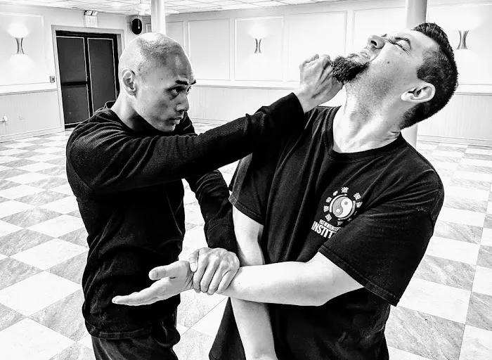 Fist Of Interception Institute Picture 1