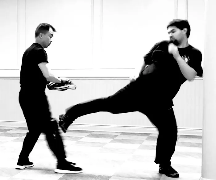 Fist Of Interception Institute Picture 6