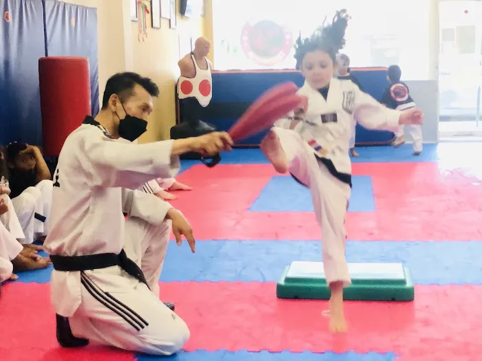 Fair Lawn Tae Kwon Do Picture 2