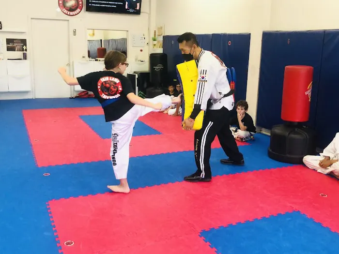Fair Lawn Tae Kwon Do Picture 3