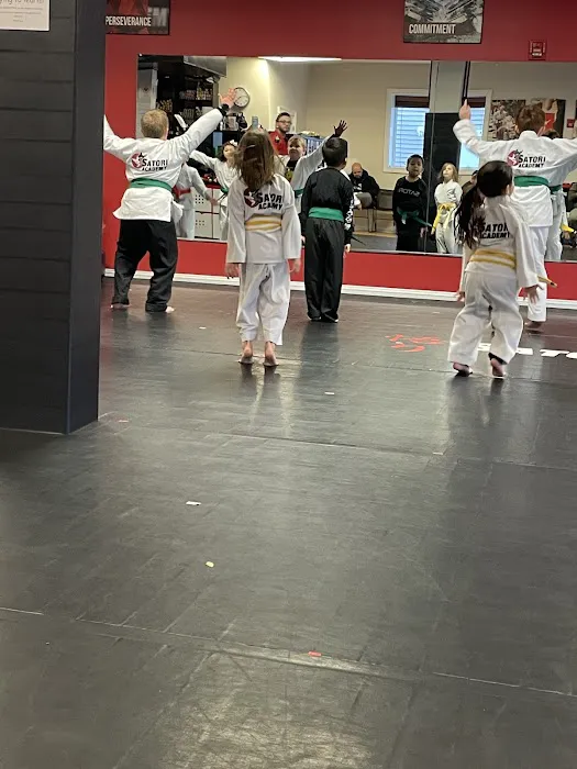 Satori Academy of Martial Arts Picture 2