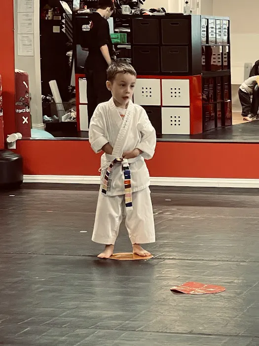 Satori Academy of Martial Arts Picture 4