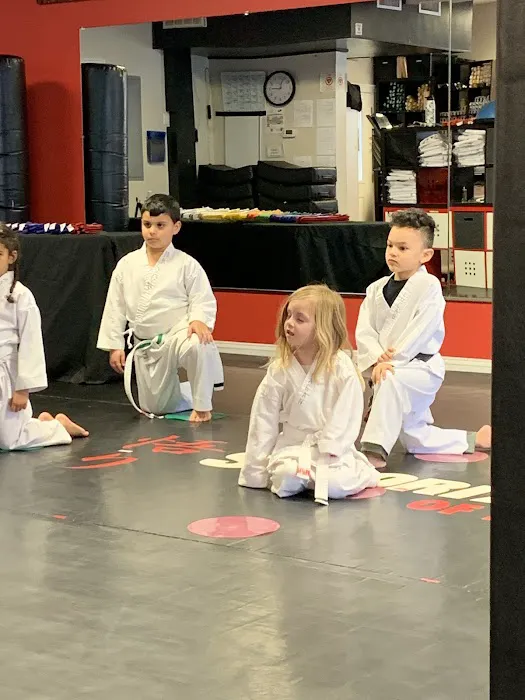 Satori Academy of Martial Arts Picture 7