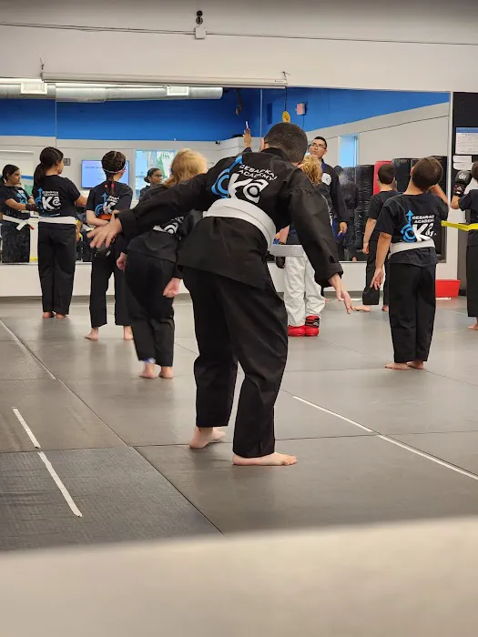 Cesar-Kai Academy Picture 1