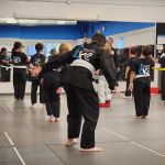Cesar-Kai Academy
