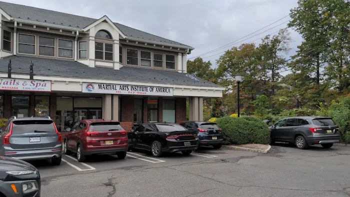 Martial Arts Institute-America Picture 4